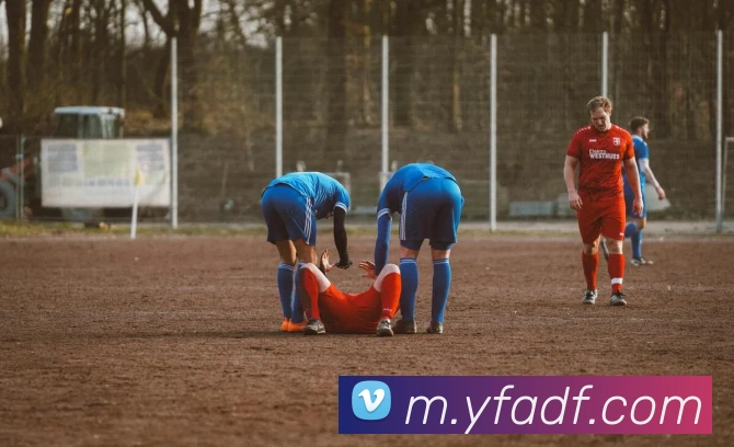 巅峰国际发展历程